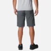 Pantalones cortos cargo Silver Ridge™ para hombre