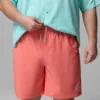 Pantalones cortos elásticos Terminal Roamer™ para hombre – Talla grande Pantalones cortos elásticos Terminal Roamer™ para hombre – Talla grande