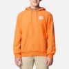 Sudadera con capucha y forro polar Flanker™ para hombre – Clemson
